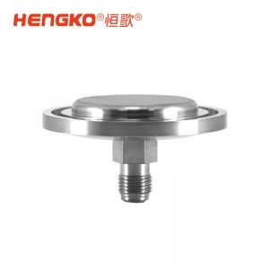 微電子半導(dǎo)體晶圓制程工藝氣體過濾終端 316L 外殼快速進(jìn)氣擴散器