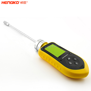 便攜式氣體傳感器DSC_3493